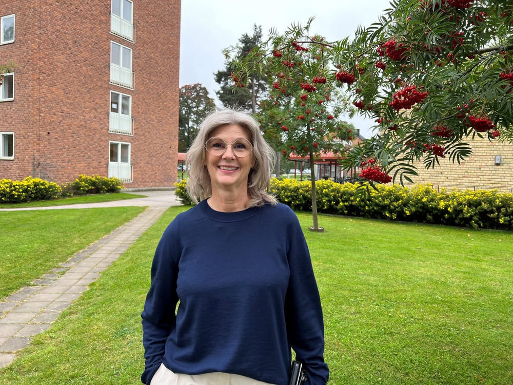 Britt-Inger Loman, programledare Program framtidens vårdinformationsstöd