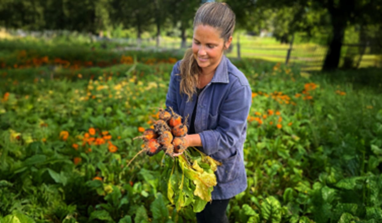 En kvinna håller i ett knippe morötter på ett fält.