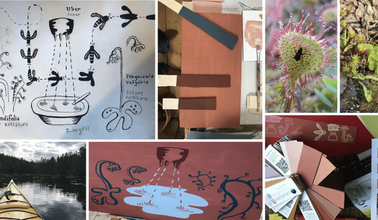 Kollage med illustrationer, växtfotografier, färgprover och en kajak i en skogssjö, med fokus på köttätande växter och konstnärlig tolkning.