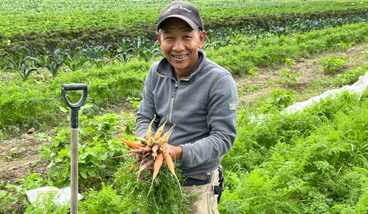 Man i halvfigur i grönsaksland, plockar morötter.