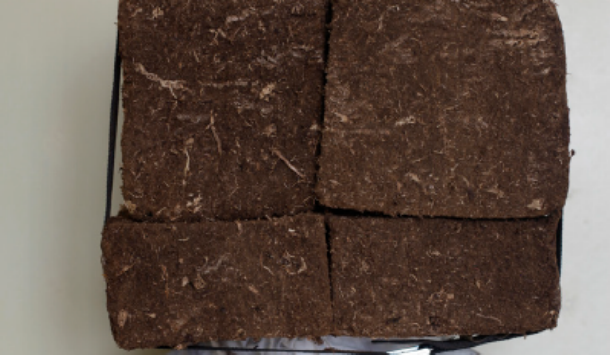 Gideonsson/Londrés skissförslag till Hudiksvalls sjukhus, Framtidsbygget