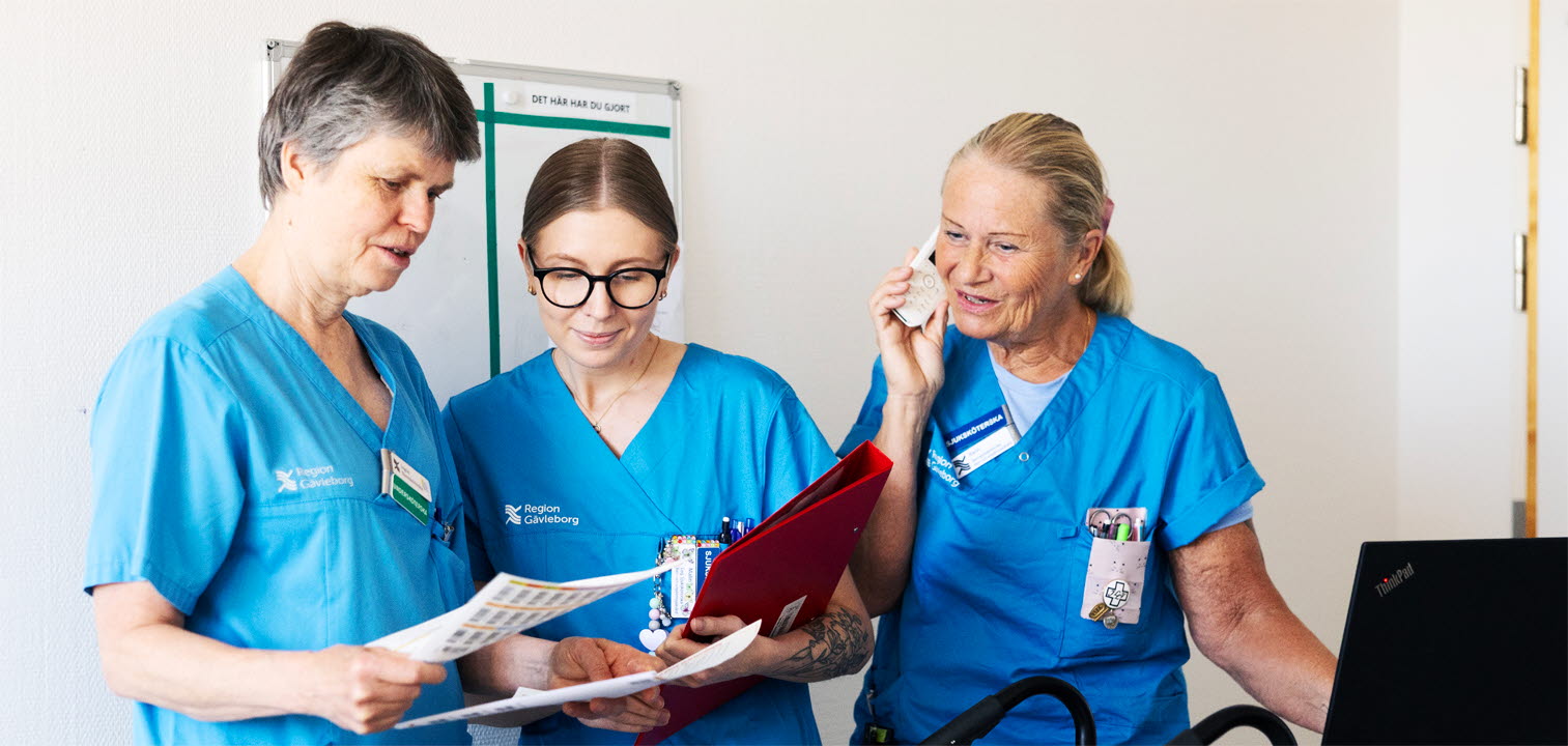 Puffbild Samverkanswebben