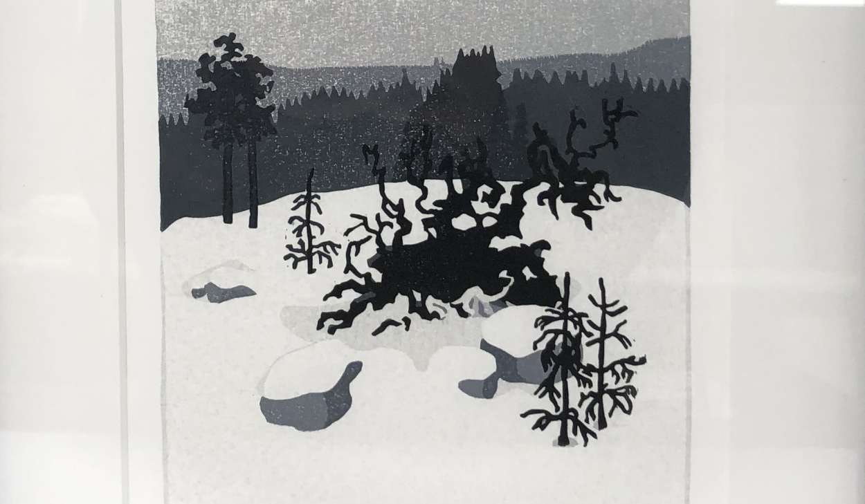 Konstverk Bortkastad av Erik Fredelius