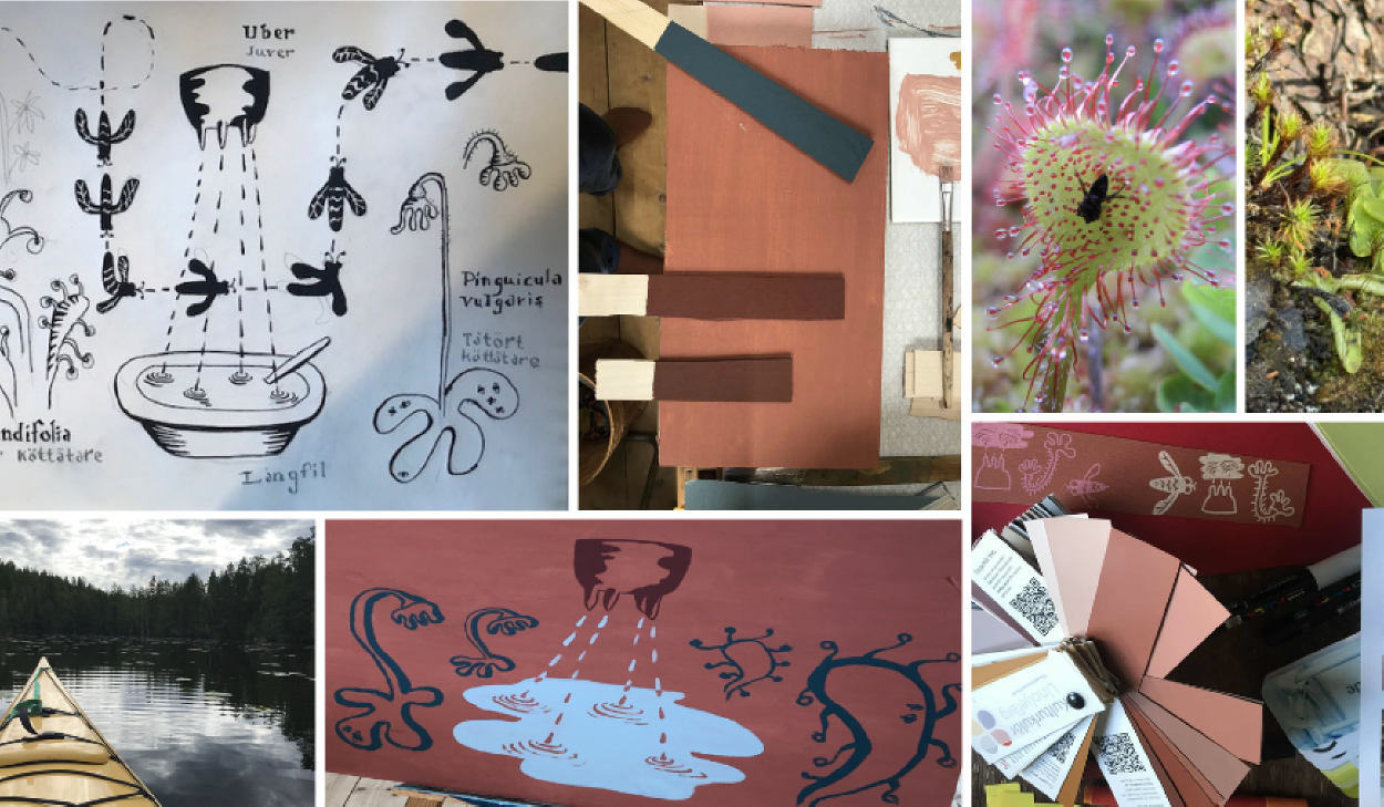 Kollage med illustrationer, växtfotografier, färgprover och en kajak i en skogssjö, med fokus på köttätande växter och konstnärlig tolkning.